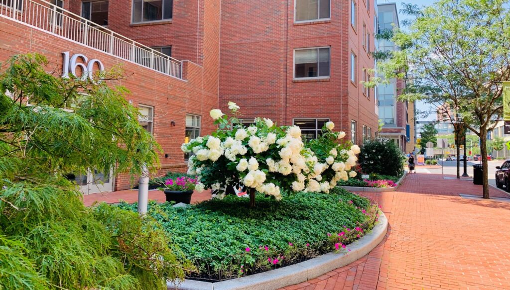 Malden - 1 Bed, 1 Bath - Image 2